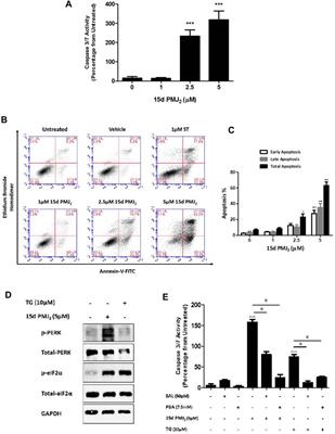 Apoptosis mechanisms induced by 15d-PMJ2 in HCT116 colon cancer cells: insights into CHOP10/TRB3/Akt signaling